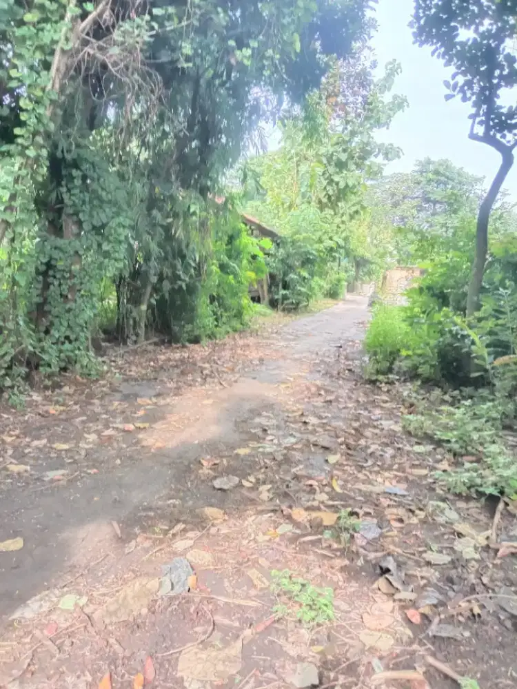 Jual tanah lokasi desa alastuwo Karanganyar lt 170m hrg 100jt nego