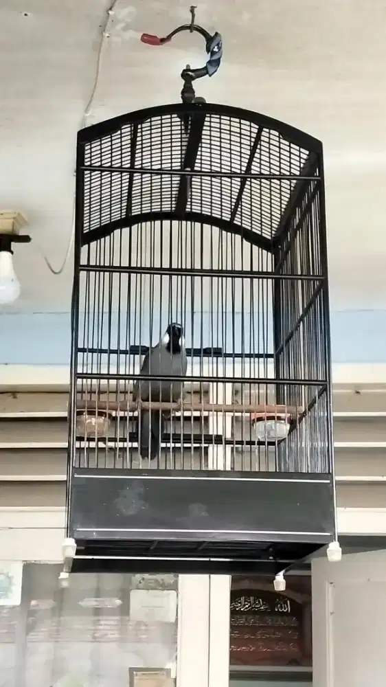 Poksay Hongkong gacor