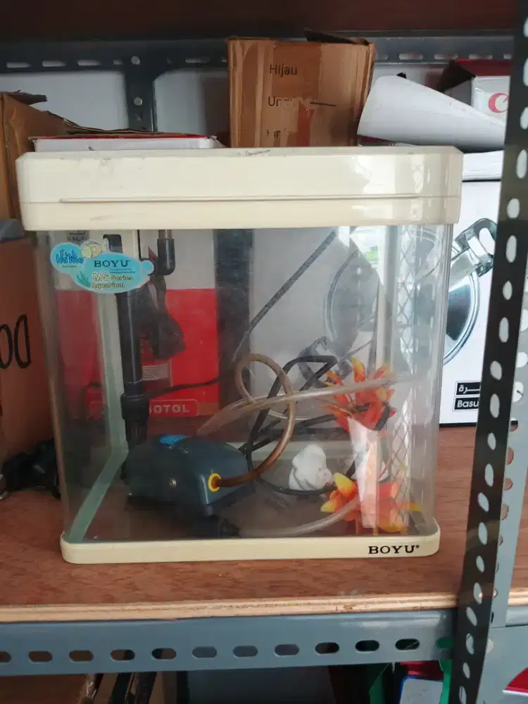 Di jual aquarium BOYU 2025
