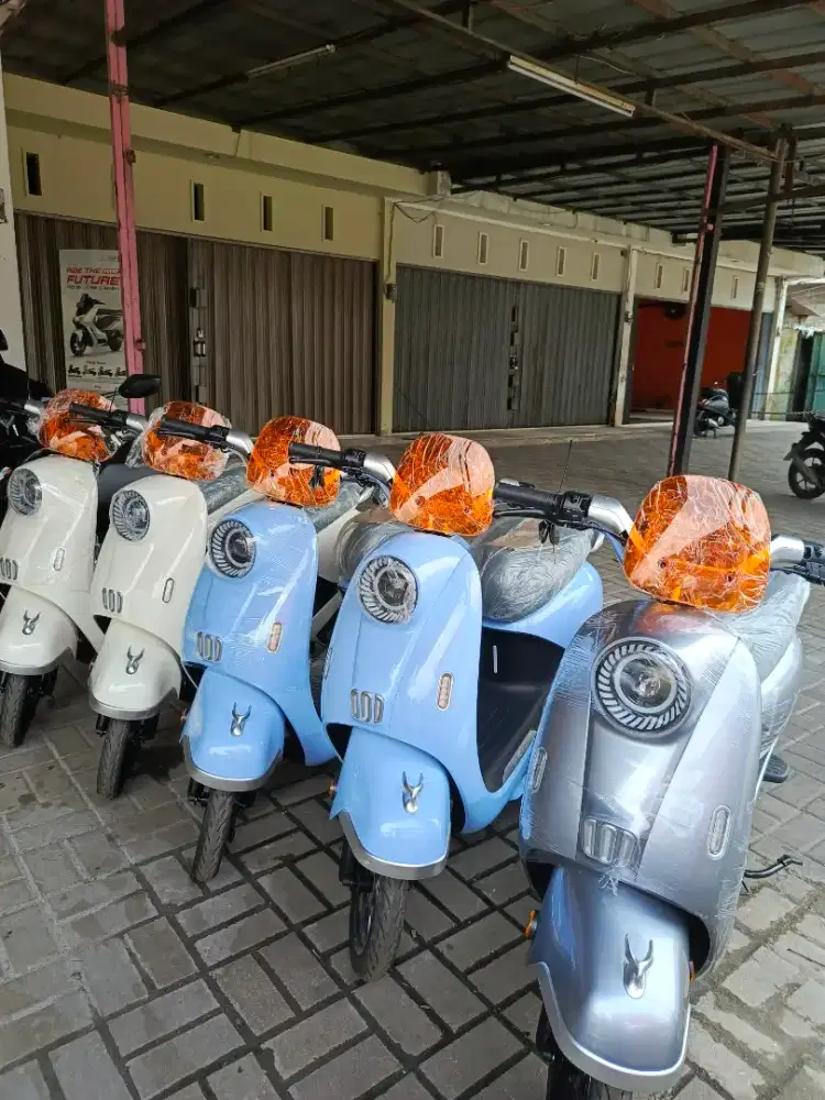 Sepeda listrik Uwinfly tipe T65L