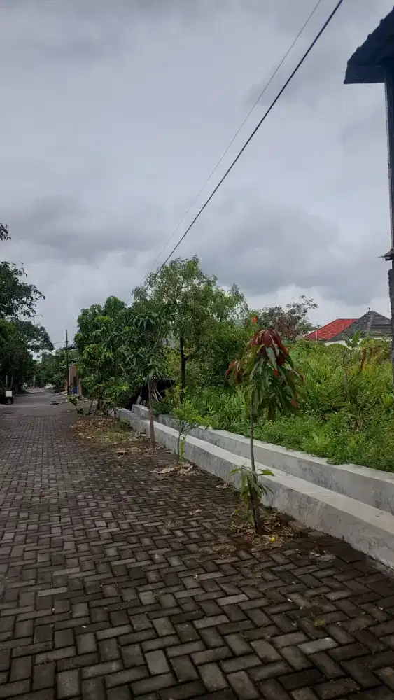 Jual tanah murah di tlogomulyo cocok buat kost jalan lebar