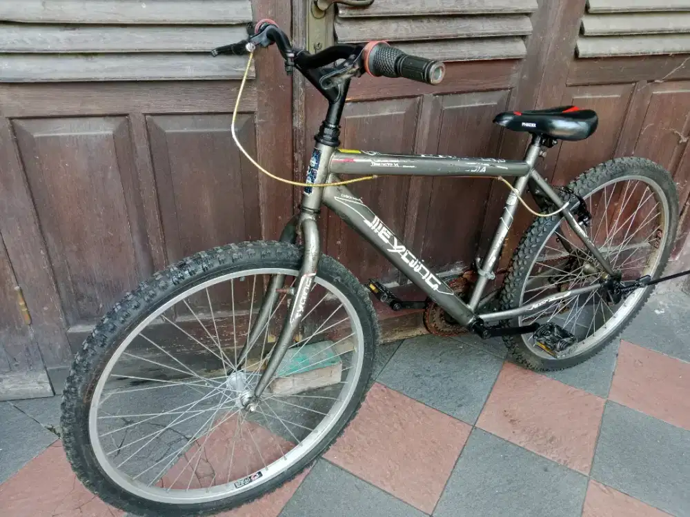 Sepeda gunung warna abu abu