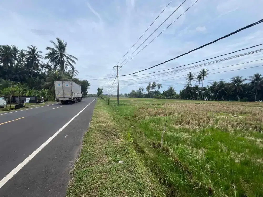 Dijual Tanah View Sawah Gunung Dan Pantai Berpasir Hitam Yang Indah Tabanan Bali