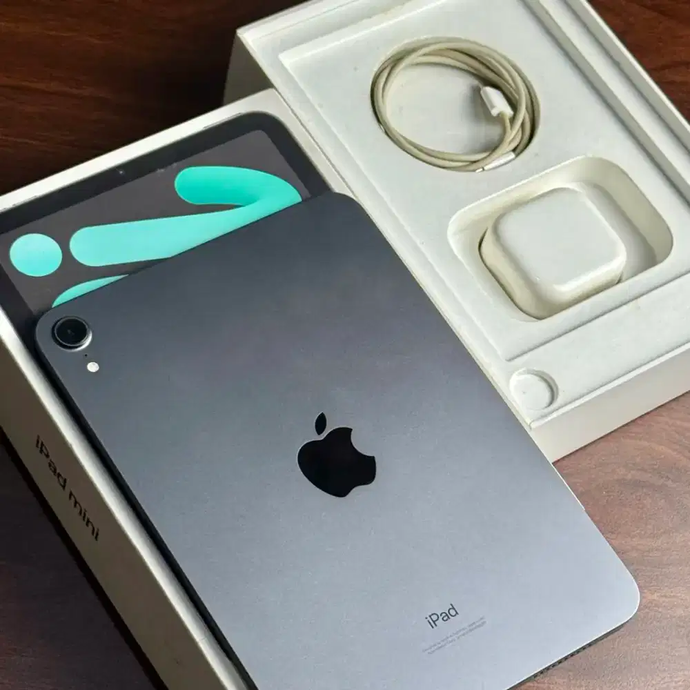 iPad mini 256GB [ Space Gray ] EX inter.