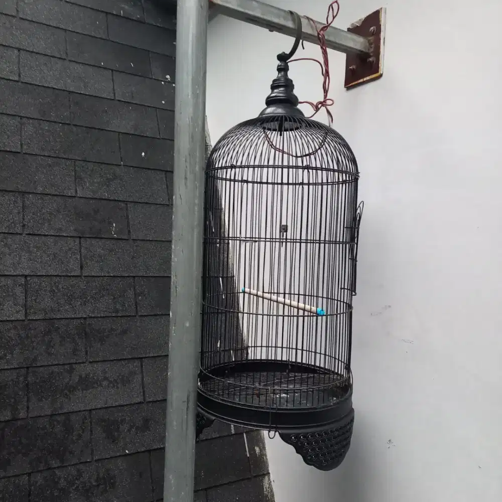 Kandang layang tekukur