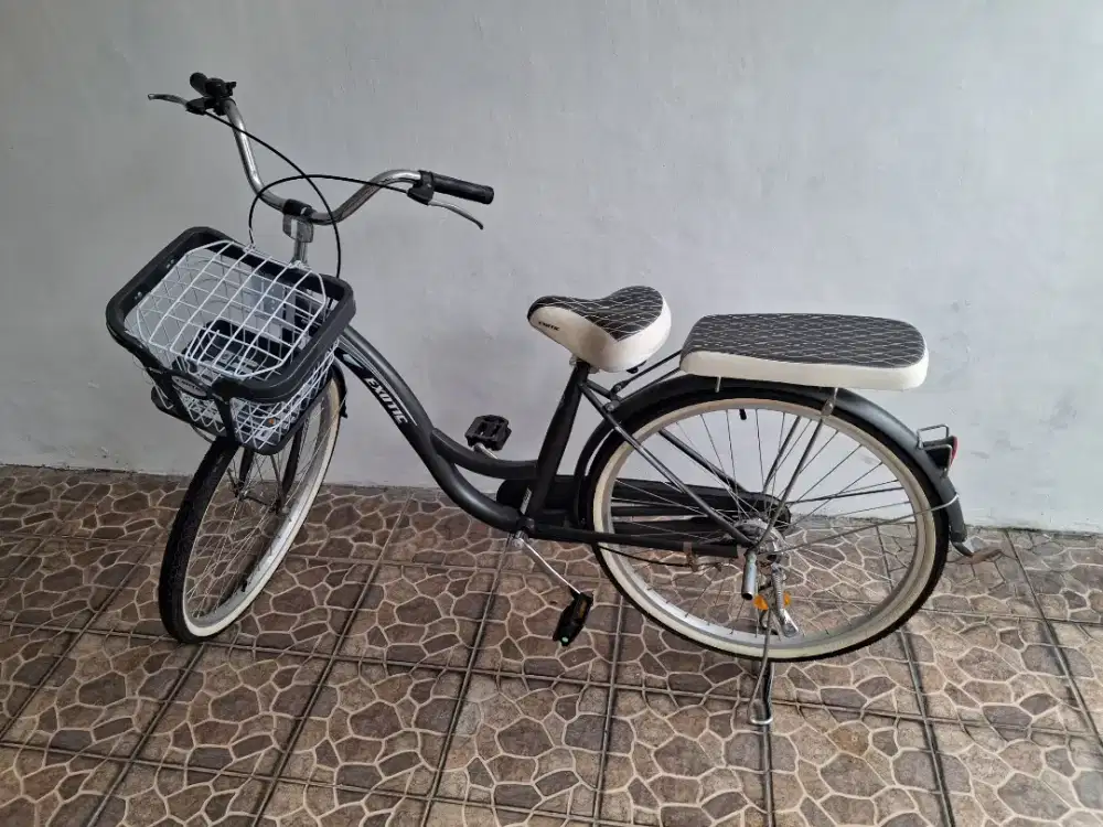 City bike exkotic