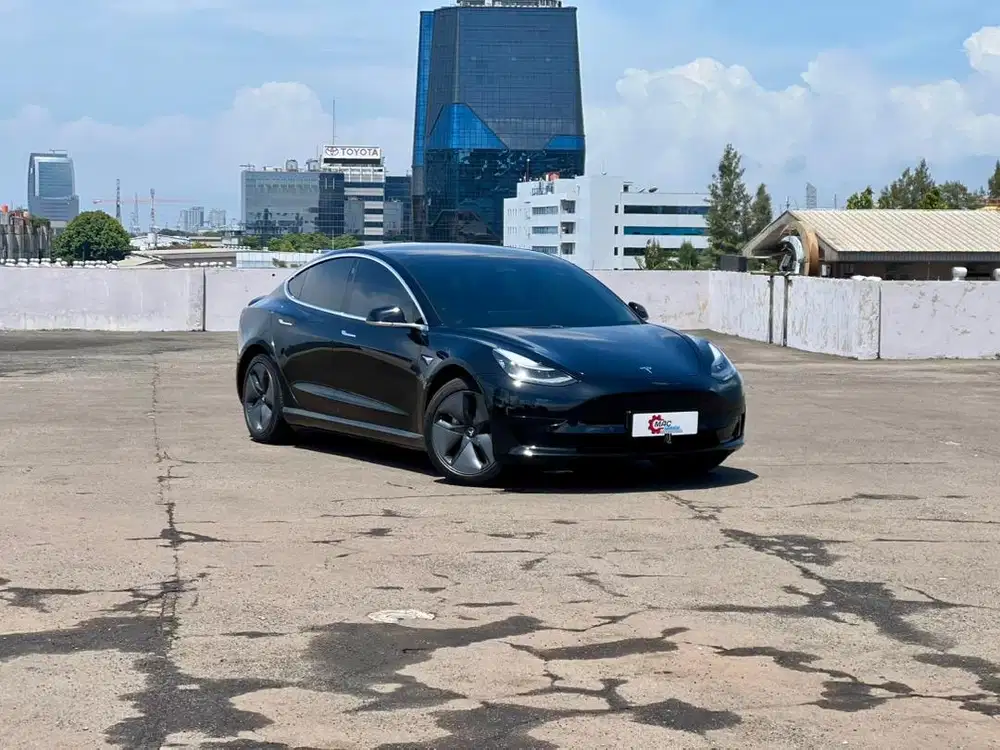 Tesla Model 3 Standart Range Plus 2020/2021