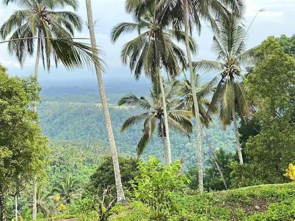 Dijual Tanah Luasn Kecil Dekat Pantai Surfing Tabanan Bali