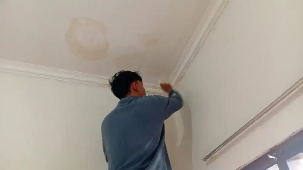 Pasang canopy alderon single