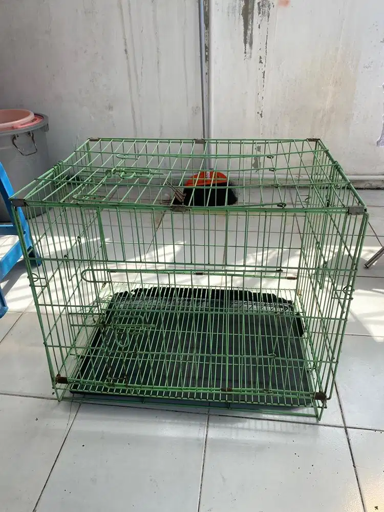 Kandang Kucing/anjing full besi