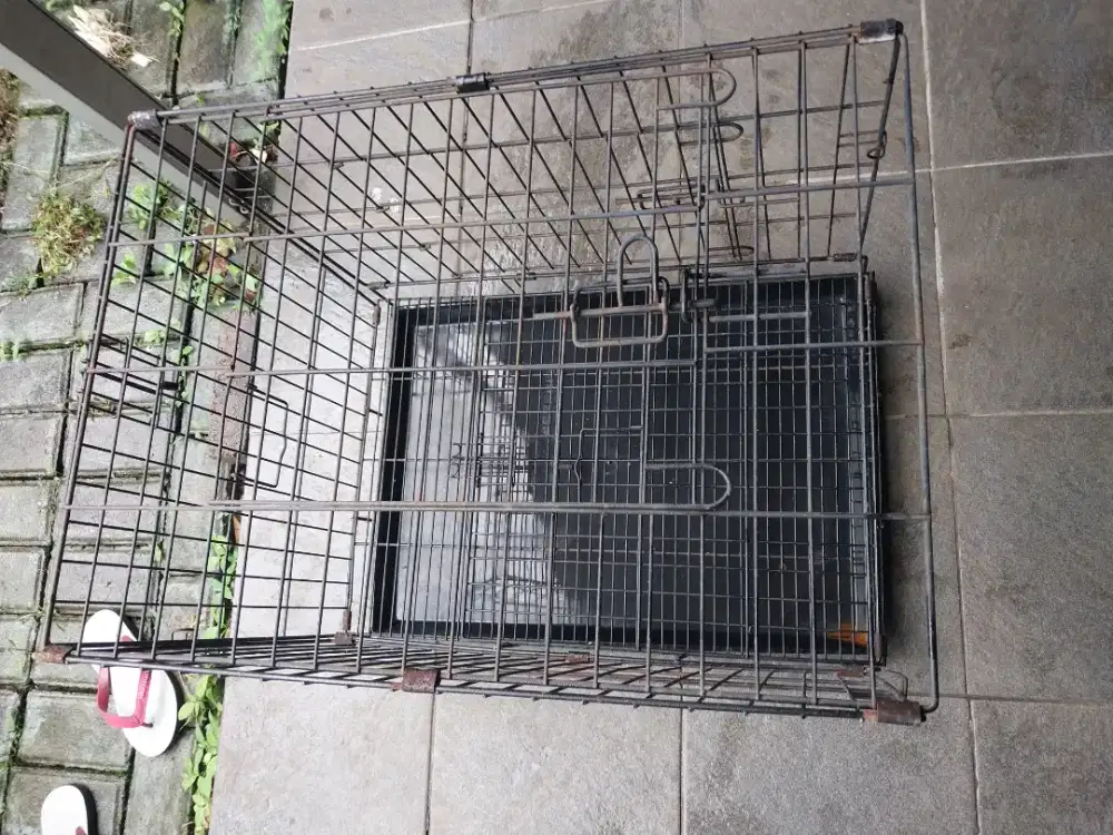 Jual kandang kucing/ayam kate/landak mino