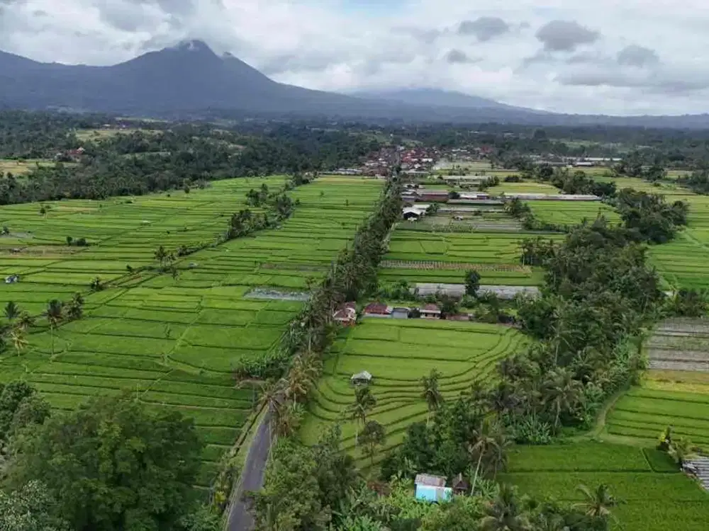 Dijual Tanah Kebun View Gunung Dan Sawah Di Tabanan Bali