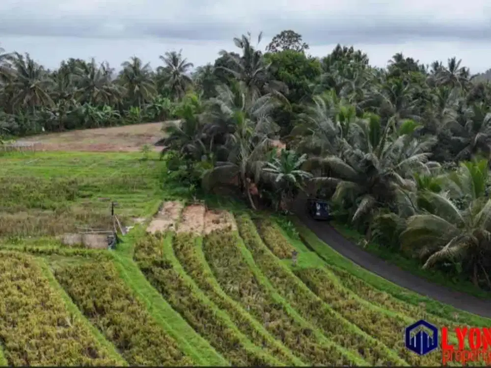 Dijual Tanah Kebun Dan Sawah Di Tabanan Bali