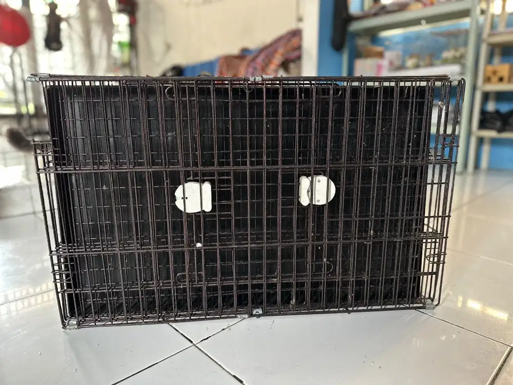 Kandang Kucing, Kandang Anjing, Kandang Ayam, Kandang Hewan Peliharaan