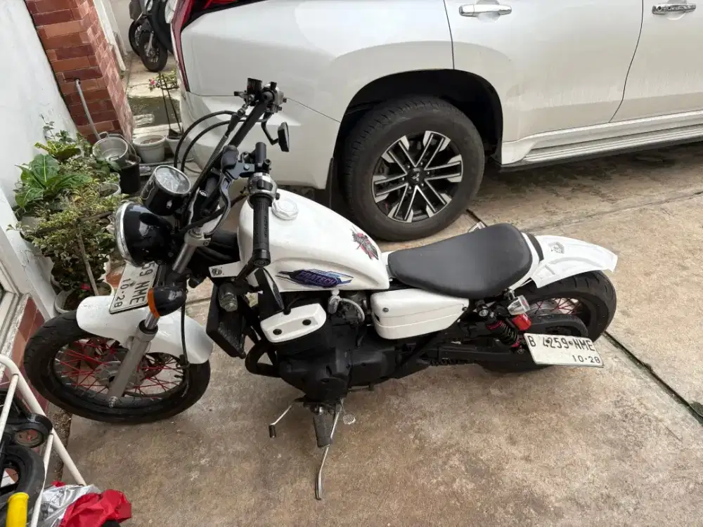 Beneli patagonian eagle 2018