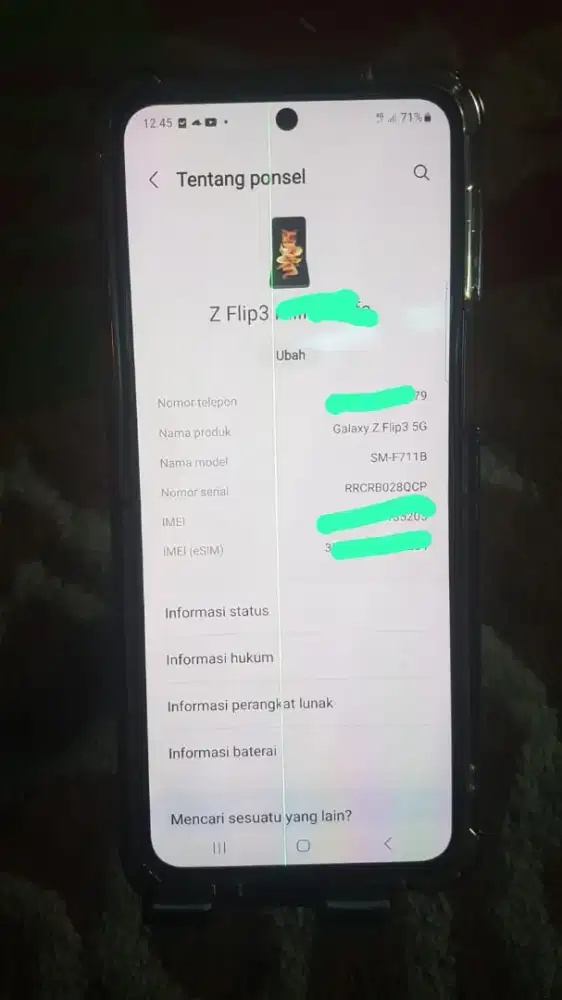 Samsung z flif 3 sein