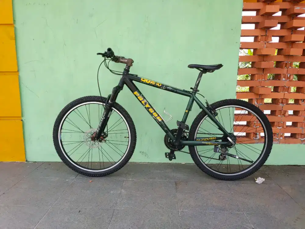 Sepeda polygon quarto