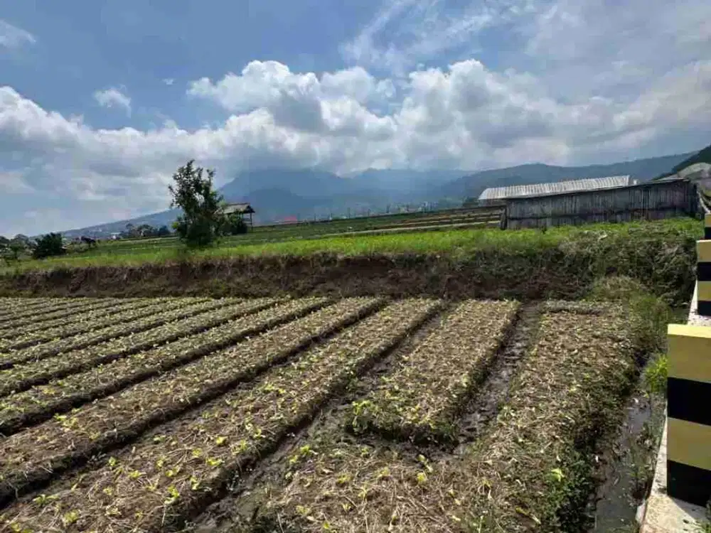 TANAH METRO KOTA BATU EXCLUSIVELY