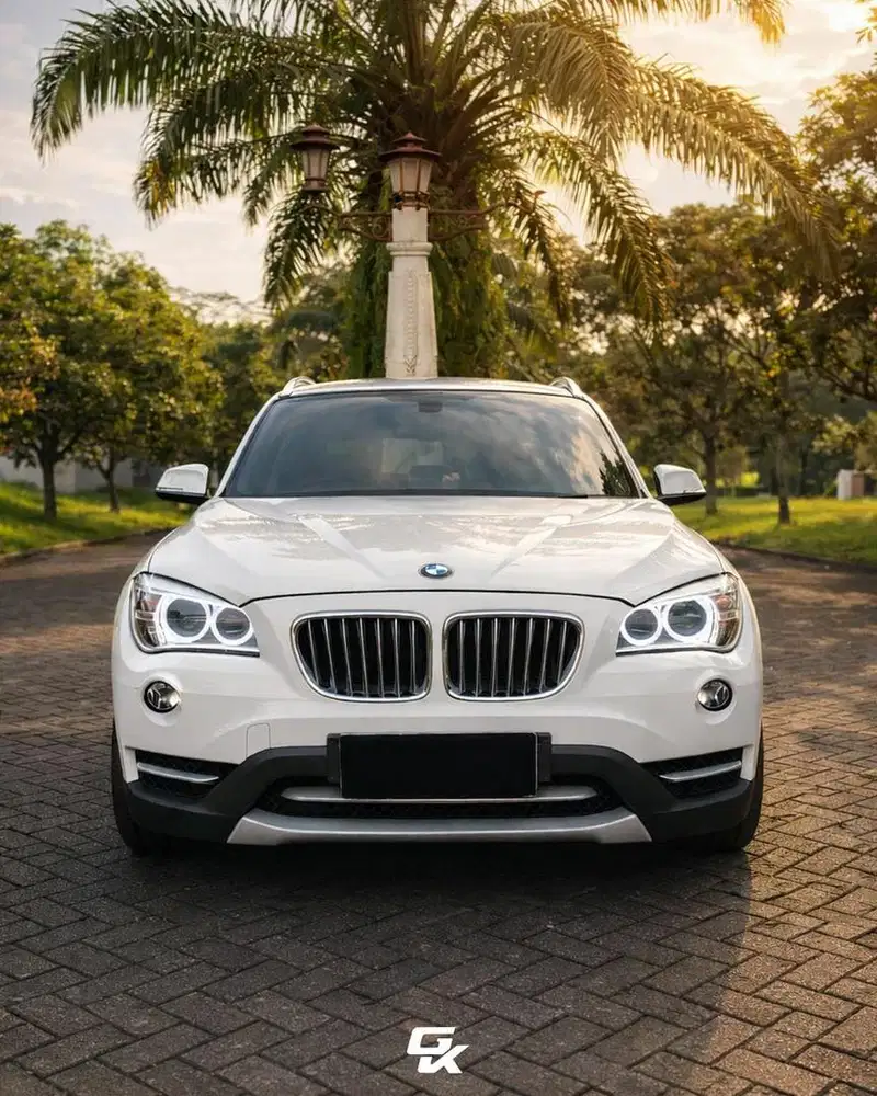 BMW X1 sDrive18i Executive 2013