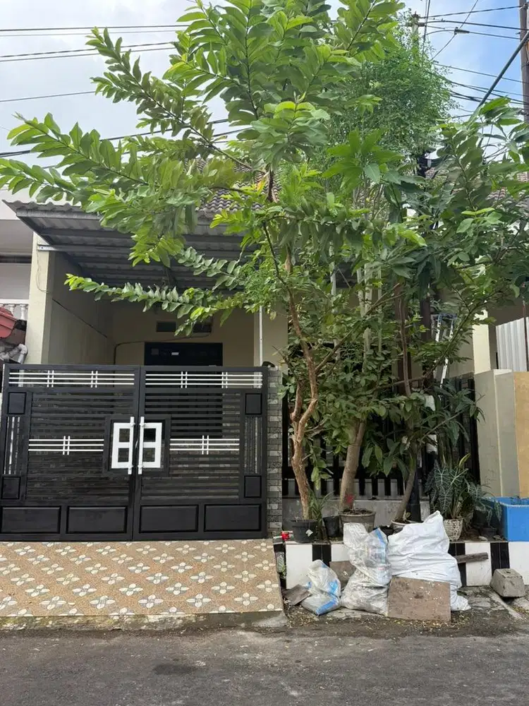 Dikontrakkan Wisma Menanggal II