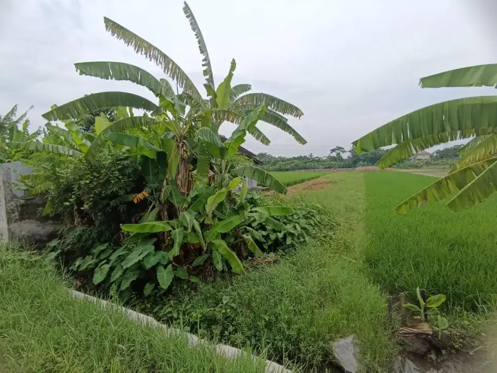 TANAH SOLO BARU  576 M² - CALON PERUMAHAN | SHM |