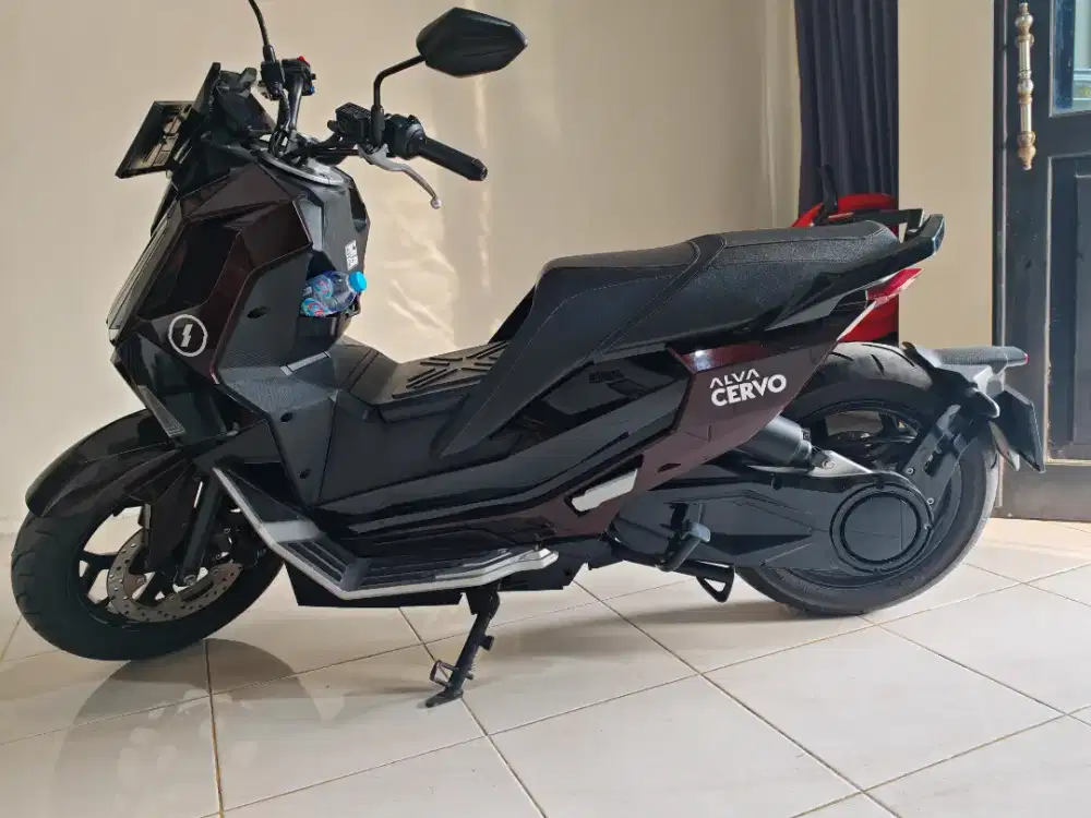 Alva cervo 2024 km 1.600 aja