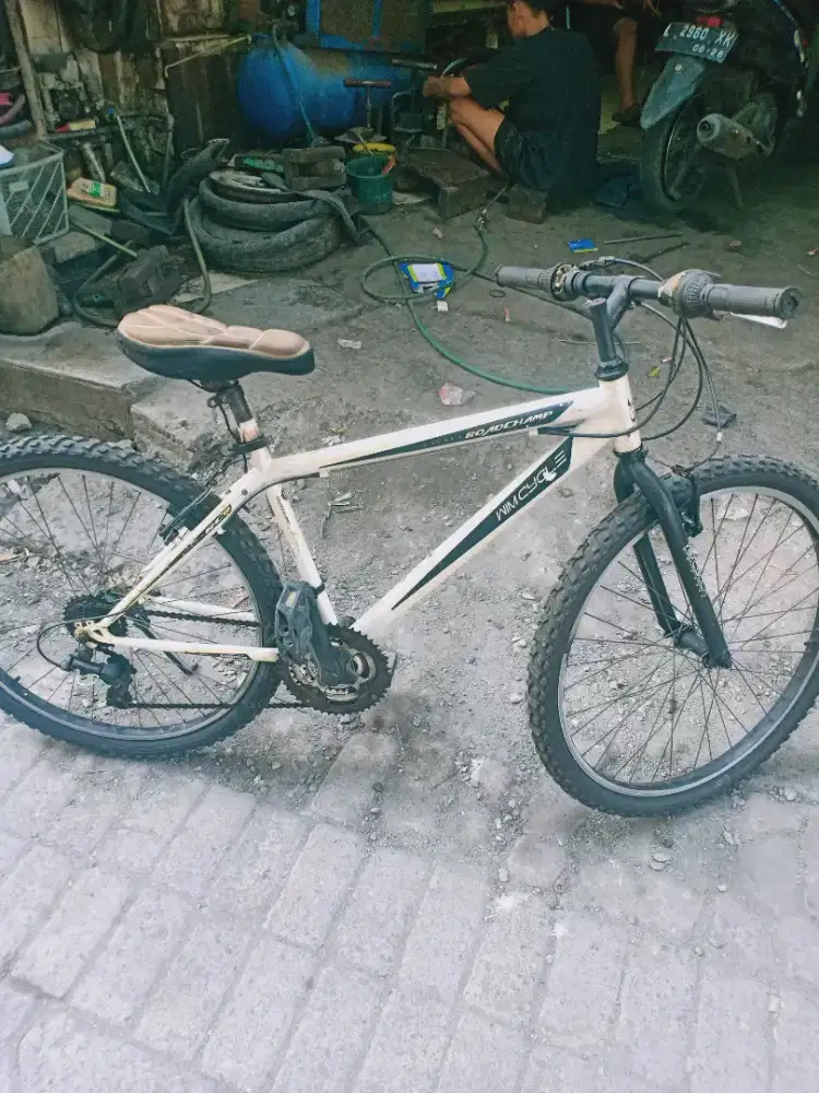 Sepeda MTB 26 win cycle