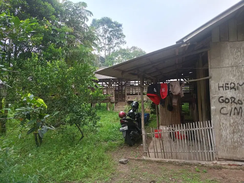 Bismilah, DIJUAL BUTUH TANAH KEBUN. PINGGIR JALAN Masuk mobil