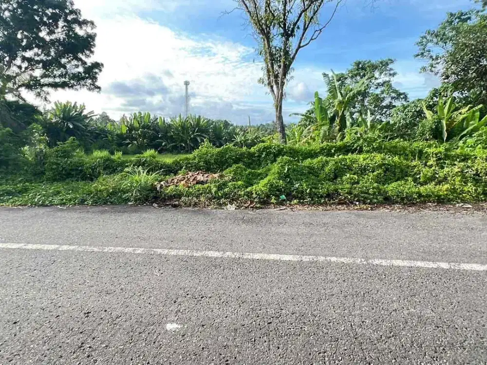 Dijual Tanah Strategis View Gunung Di Tabanan Bali