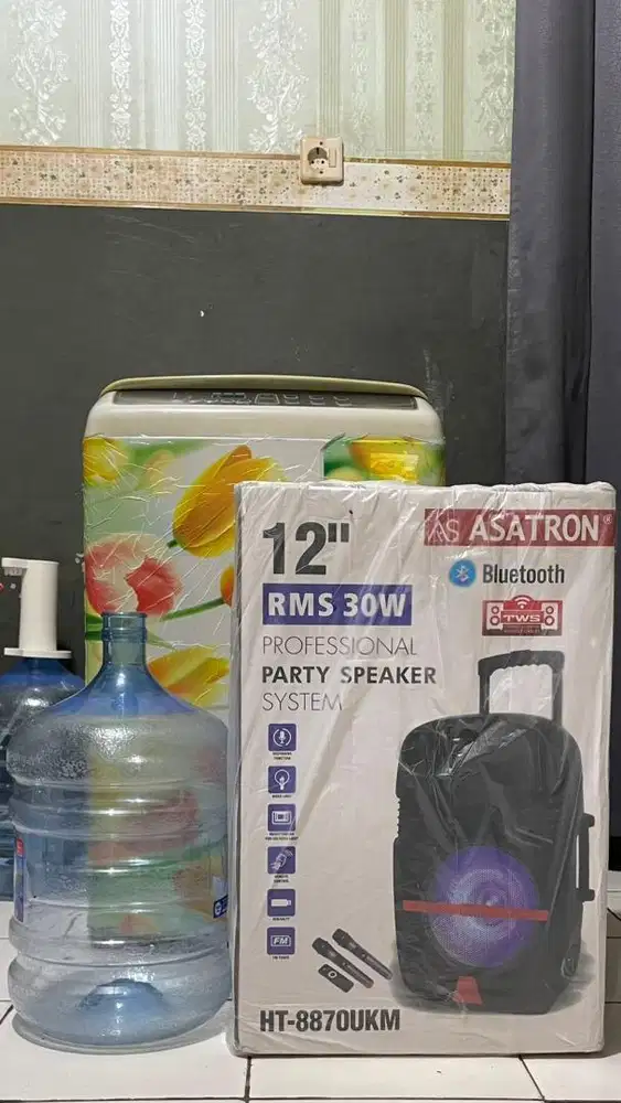 Speaker 12 Inch 2 Mic Wireless