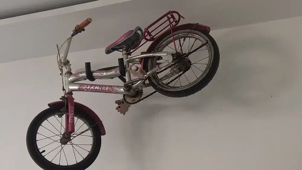 Sepeda family ring 16