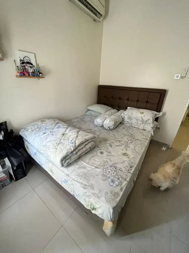 Kasur + Dipan Therapeutic, Uk. 160