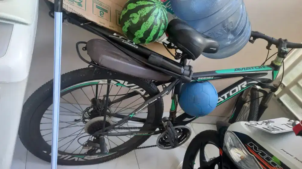 Sepeda aviator ring 20