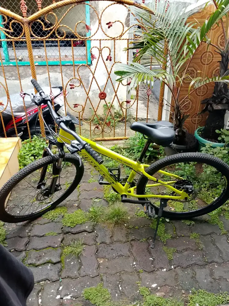 Mtb POLYGON MONARCH MYT