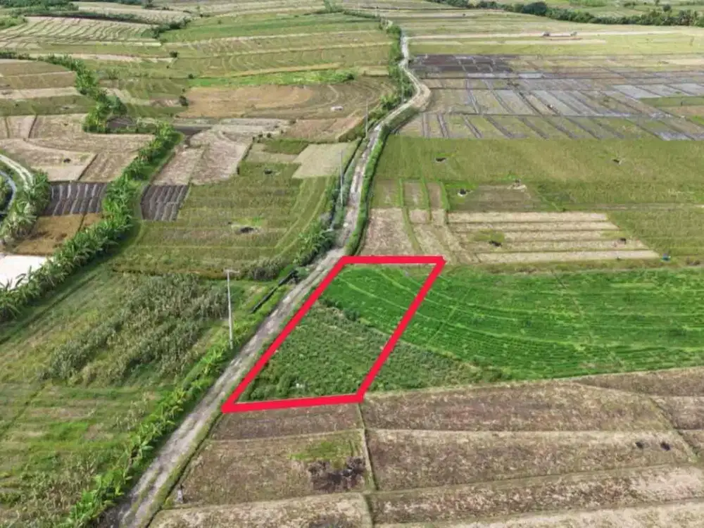 Dijual Tanah Dekat Pantai Zona Pariwisata Di Tabanan Bali