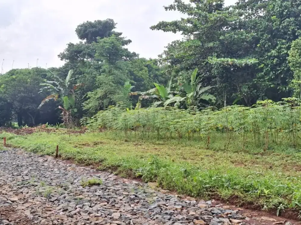 Tanah kavling SHM Setu Bekasi Hanya 1Jtan Dekat Tol Burangkeng