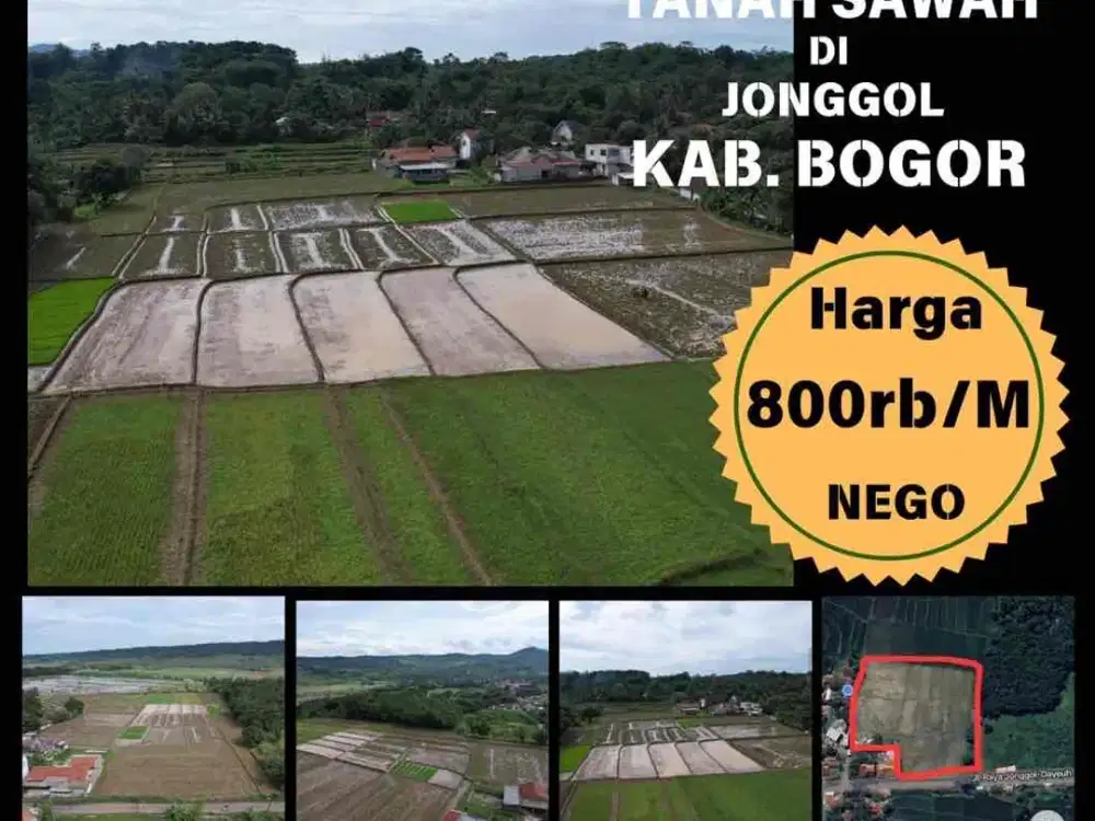 Dijual Tanah Sawah Luas 1 Hektar di Tepi Jalan Raya Jonggol Belakang Citra Indah City