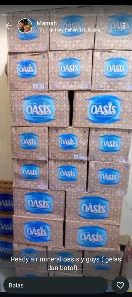 Oasis gelas 240ml