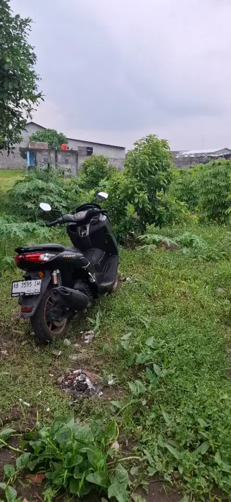 BU jual sawah murahhhh