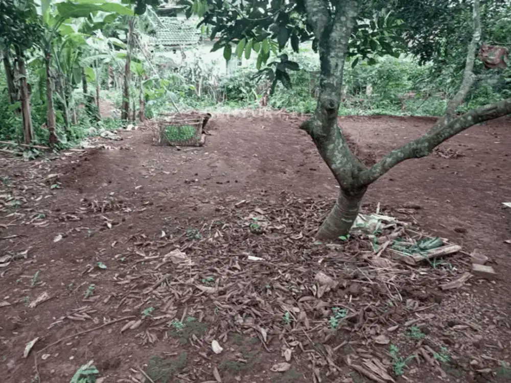 Tanah Daerah Perumahan Di Situsari Cileungsi Kab Bogor