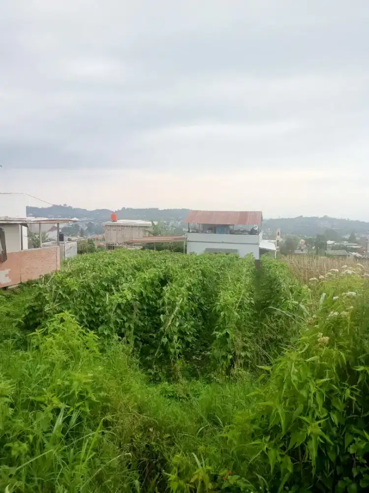 Tanah Lembang untuk Villa, Rumah