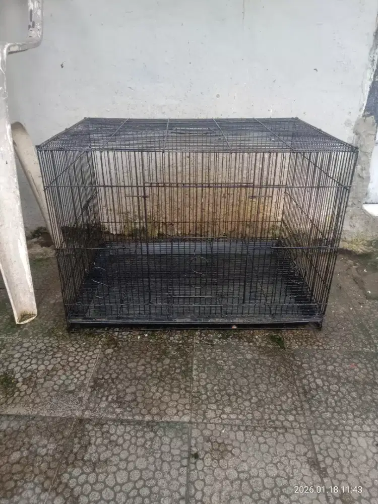 Kandang ternak 80000