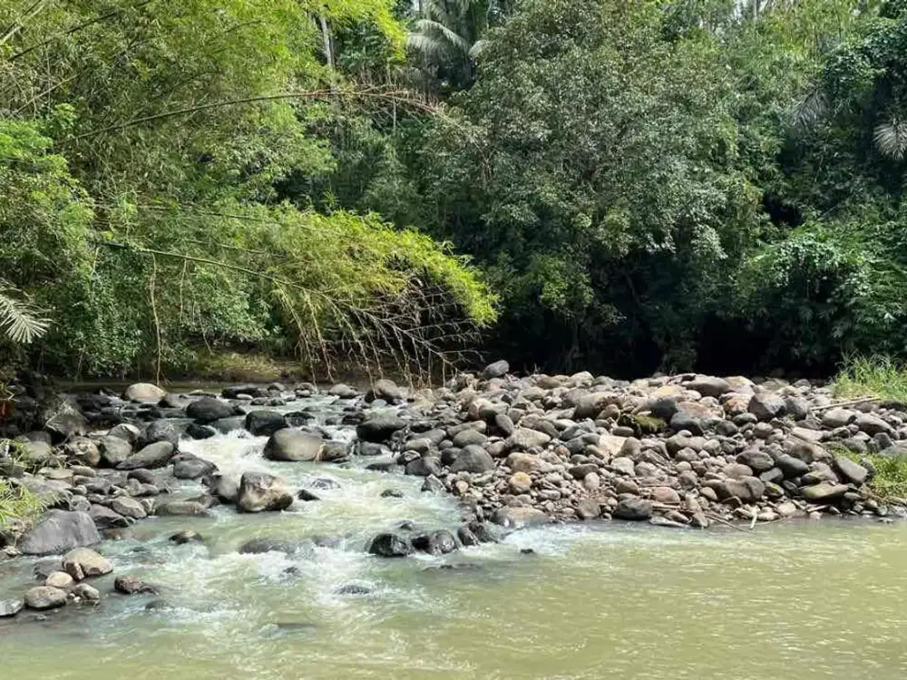 DI JUAL TANAH LOSS SUNGAI DENGAN ITR KUNING BERADA DI PINGGIR JALAN UTAMA