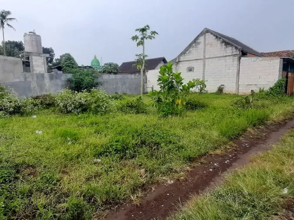 Tanah murah Asrikaton Pakis Malang Dijual cpt B.U poll dekat Exit Toll