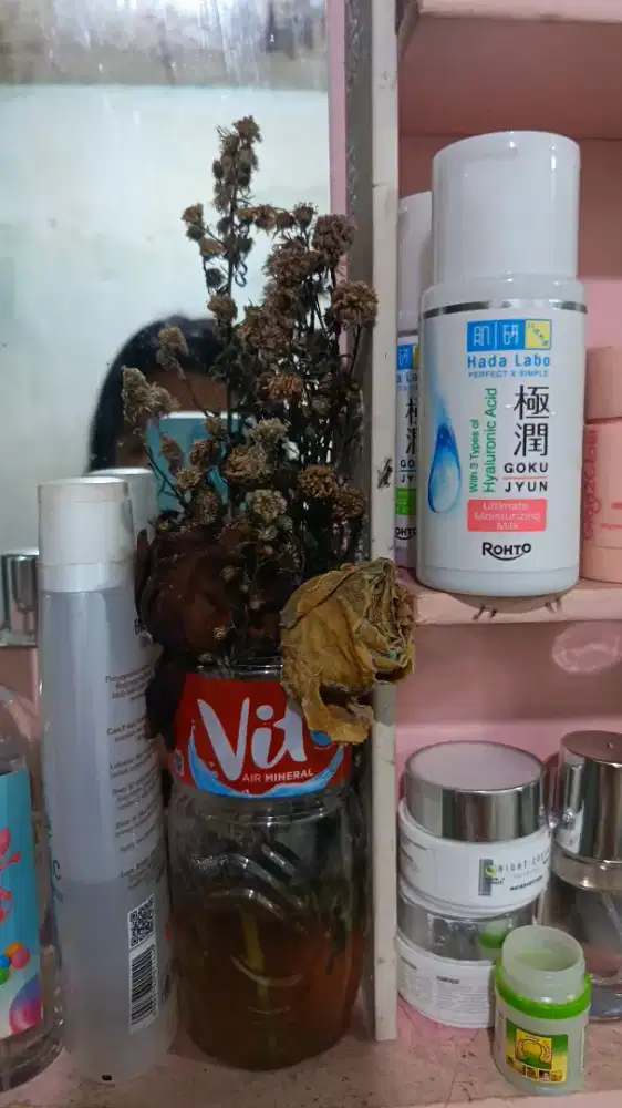 Jasa bersih2 rumah dll.