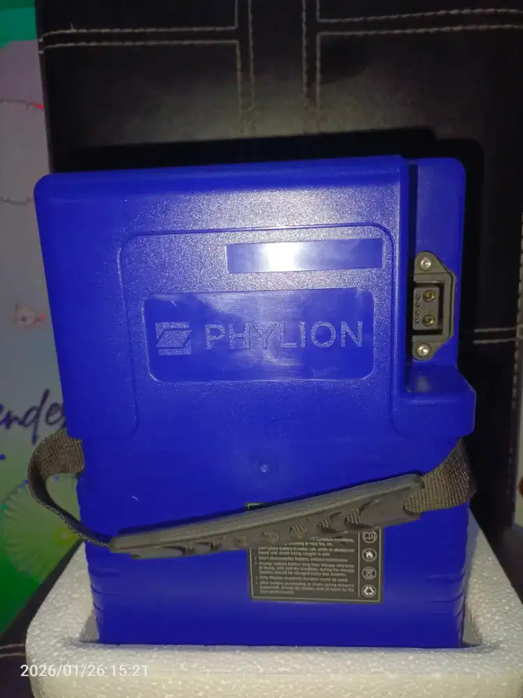 Phylion 48v 20ah model tidur