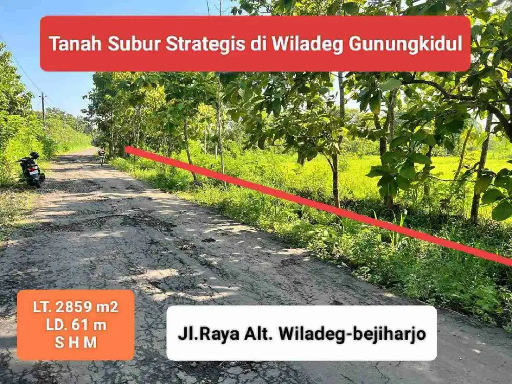 Jual Tanah Subur Murah Pinggir Jalan Raya di Wiladeg Gunungkidul hanya 160 rb permeter shm