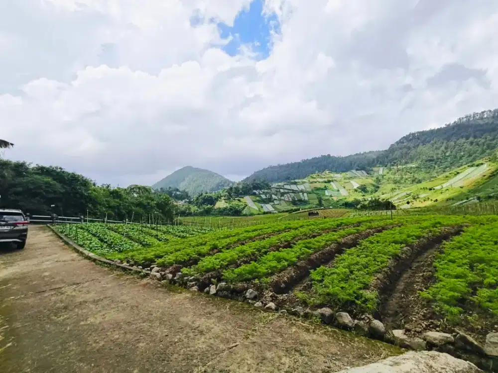 Dijual tanah tawangmangu