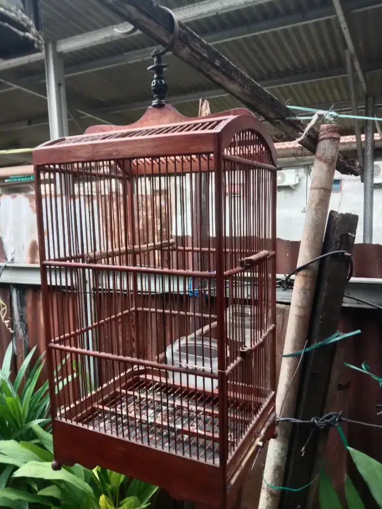 Kandang kotak coklat