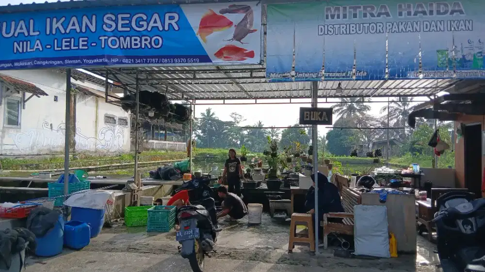 Dijual Motor Listrik VOLTA 401